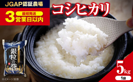 こしひかり 5kg 白米 最短3日 スピード発送 令和7年産 アグリ君田 [APDC001] コシヒカリ