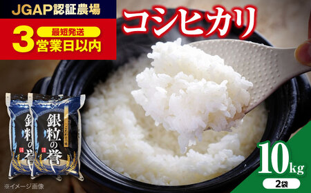 【令和7年産】こしひかり 10kg 【スピード発送】アグリ君田 [APDC002] コシヒカリ