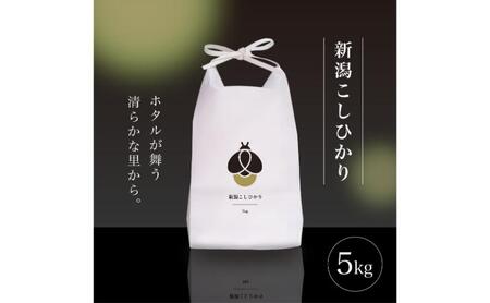 令和7年産 5kg 5キロ 新潟県 上越市産 コシヒカリ おおしま育ち 精米 お米 お取り寄せ