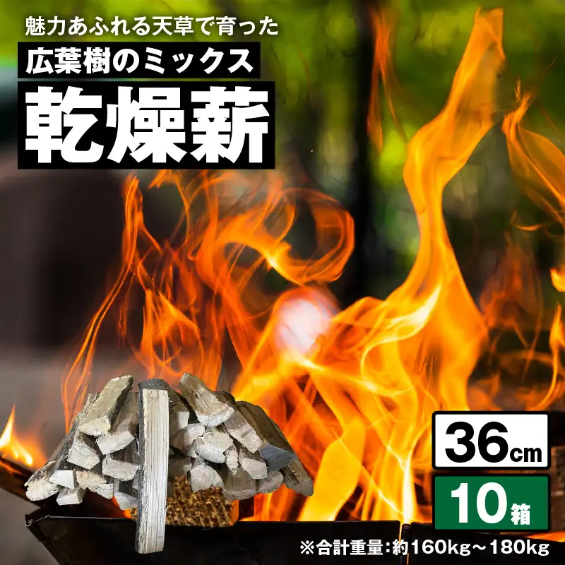 S163-013_魅力あふれる天草で育った広葉樹のミックス乾燥薪（36㎝）　