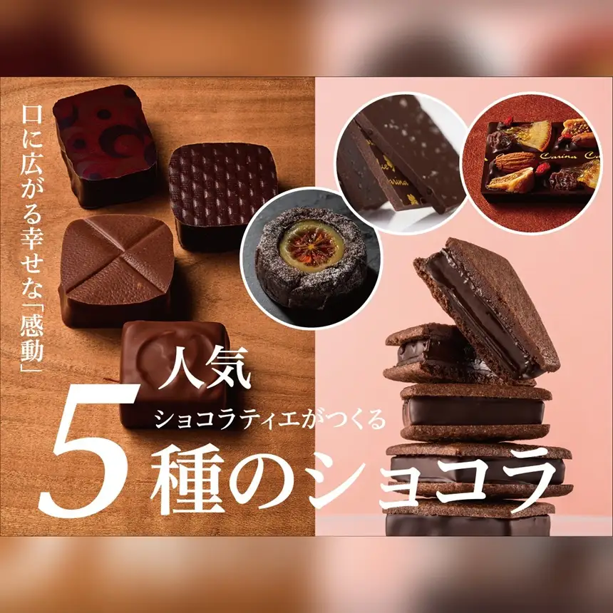 チョコレート ショコラ 詰め合わせ ギフト ガトーショコラ 塩チョコ テラコッタ 板チョコ ボンボンショコラ スイーツ ドルチェカリーナ セット 長野県 伊那市 【016-17】