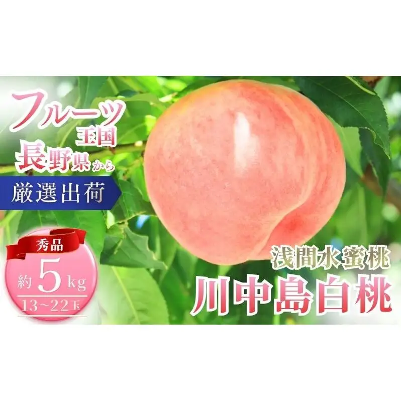 桃 先行予約 浅間水蜜桃 川中島白桃 約5kg 秀品 13～22玉 贈答品 フルーツ 果物 白桃 甘い 冷蔵