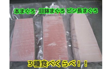三崎といえばまぐろ 3種食べ比べ M012-006 冷凍 マグロ