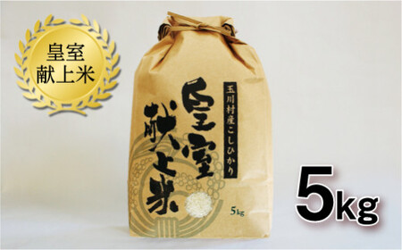 玉川村産コシヒカリ 5kg コシヒカリ 米 お米 ブランド米 銘柄米 備蓄 日本米 こしひかり コメ ごはん ご飯 食品 FT18-266