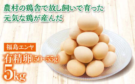 玉川村産 有精卵50～55g 90玉（割れ保証10玉含む） 栄養満点 タマゴ 玉子 エッグ 国産 オムレツ TKG 温泉卵 FT18-221