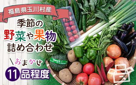 季節の産直売場の野菜と果物詰め合わせ（大） FT18-257