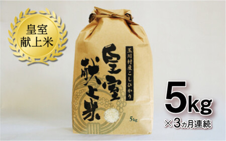 【3ヶ月連続】玉川村産コシヒカリ 5kg コシヒカリ 米 お米 ブランド米 銘柄米 備蓄 日本米 こしひかり コメ ごはん ご飯 食品 FT18-270