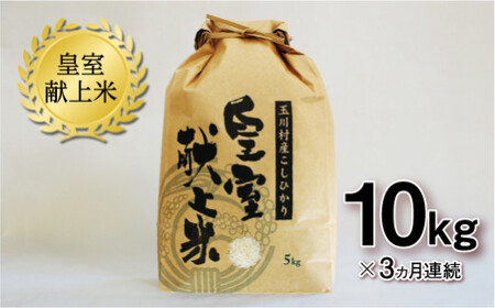 【3ヶ月連続】玉川村産コシヒカリ 10kg コシヒカリ 米 お米 ブランド米 銘柄米 備蓄 日本米 こしひかり コメ ごはん ご飯 食品 FT18-272