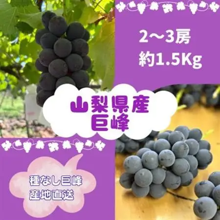 【2026年8月発送予定】巨峰2～3房(約1.5kg)【配送不可地域：離島】【1667737】