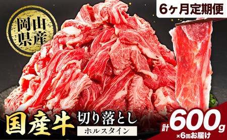【6ヶ月定期便】牛肉 切り落とし 大容量 小分け 600g(300g×2) 牛肉