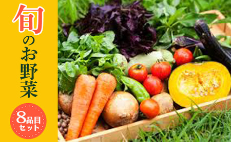 大阪泉州産旬のぎゅうぎゅう野菜セット