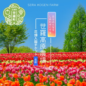 花畑入園 チケット6枚《世羅高原農場》しだれ桜 チューリップ ひまわり ダリア ガーデンマム 観光 農園 A041-11