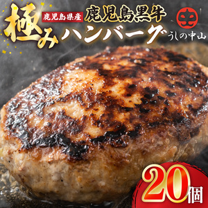 1196 鹿児島県産『 鹿児島黒牛 』A5ランク 極めた ハンバーグ 20個【うしの中山】 KN050-001-04 肉 牛肉 冷凍 黒毛和牛 惣菜 総菜
