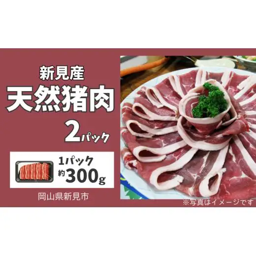 新見産 天然猪肉 極上詰め合わせ スライス肉 約300g×2 【12月上旬～8月下旬頃発送】