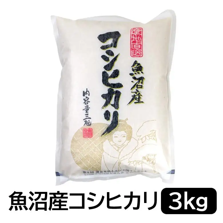 お米マイスター厳選！魚沼産コシヒカリ3kg×12か月毎月発送 定期便 新潟県