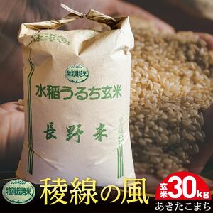 特別栽培米　稜線の風（あきたこまち）玄米 30kg | 米 新米 長野 信州