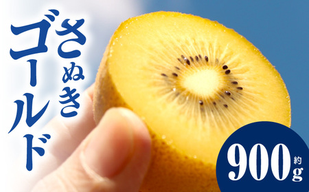 キウイ　鮮やか黄金に輝く　ゴールドキウイ 約900g | 果物 フルーツ さぬきゴールド キウイ キウイフルーツ フレッシュ ジューシー 香り 爽やか 旬の果物 人気 おすすめ 贈答 贈り物 青果物 糖度 香川県 三木町 |_mk165-016