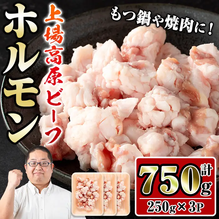 上場高原ビーフ 小腸 ホルモン 750g 【スーパーよしだ】 i1156