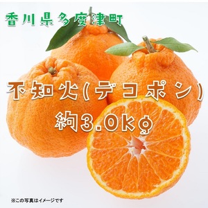 不知火（デコポン）約3kg【予約受付中！令和9年2月中旬より発送】【A-42】
