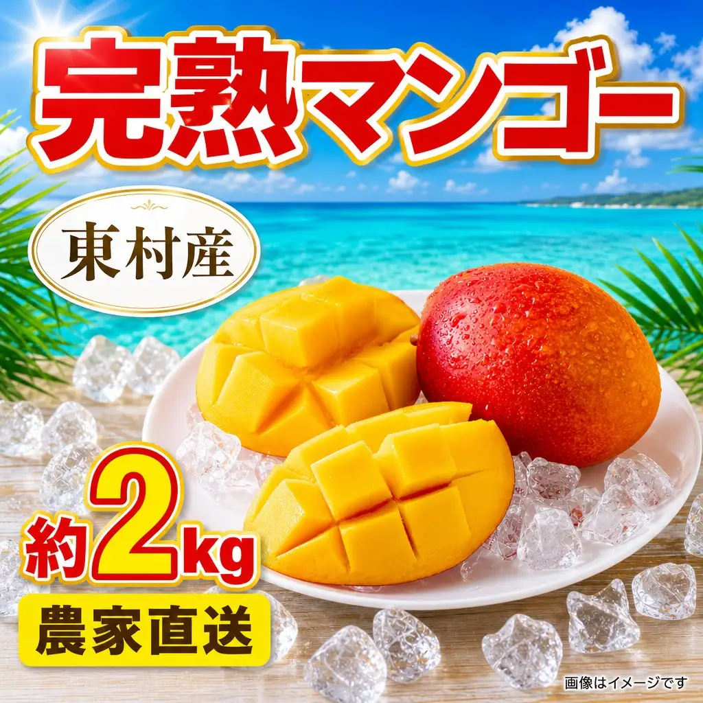 マンゴー 約2kg 完熟マンゴー 沖縄 東村産