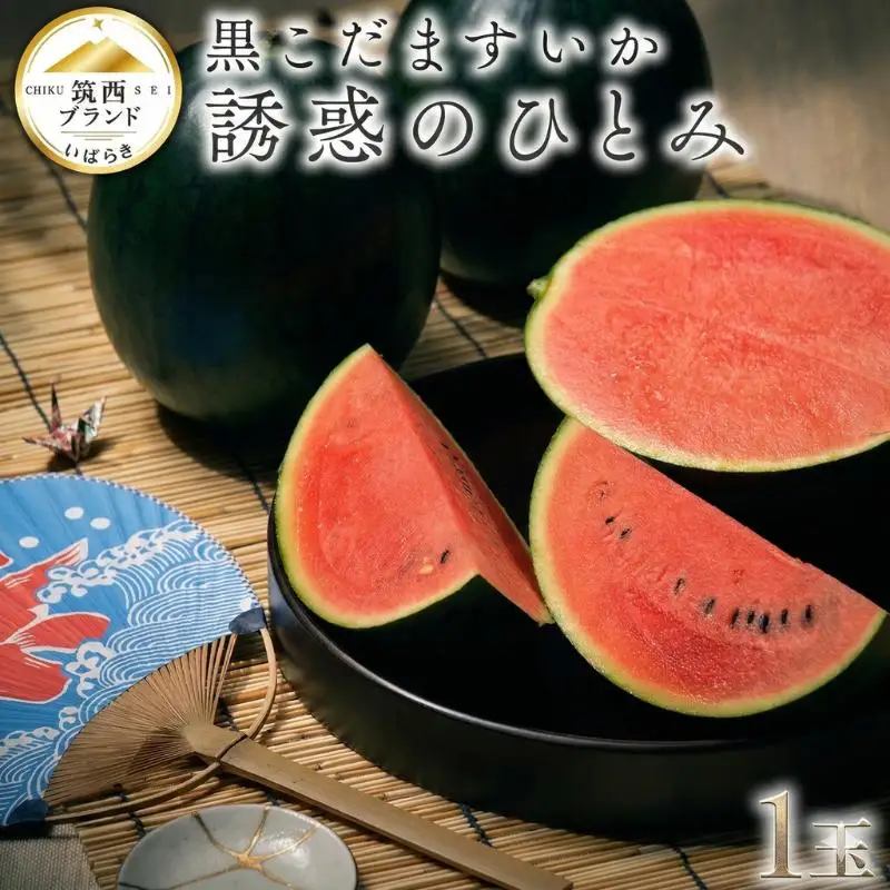 【 JA北つくば 】 黒こだますいか 「 誘惑のひとみ 」 1玉