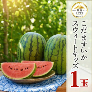 【 JA北つくば 】 こだますいか 「 スウィートキッズ 」 1玉