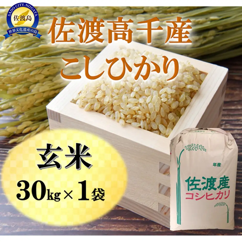 【令和７年産】佐渡高千産こしひかり 玄米 30kg×1袋