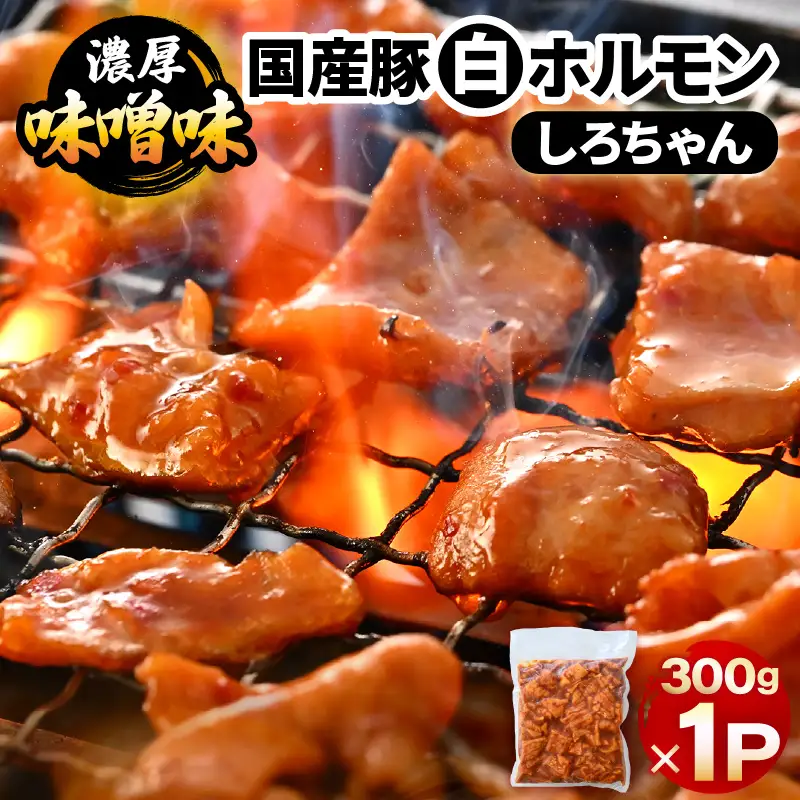 国産豚 白ホルモン しろちゃん 濃厚味噌味 300g × 1p 【豚 豚肉 ぶた ホルモン ほるもん 豚腸 味噌 濃厚 おつまみ おかず 夜のおかず 夜ごはん 味付き 冷凍 国産】 [A-12432]