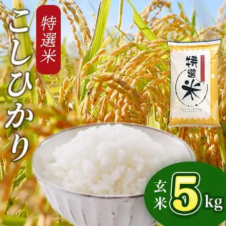 令和7年産 特選米 コシヒカリ玄米 5kg MK19