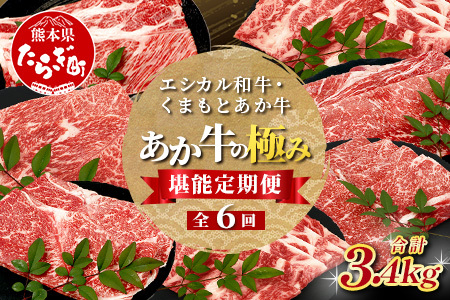 【定期便6回】エシカル和牛・くまもとあか牛《あか牛の極み 堪能》 定期便 (合計 3.4kg) SDGs 033-0518