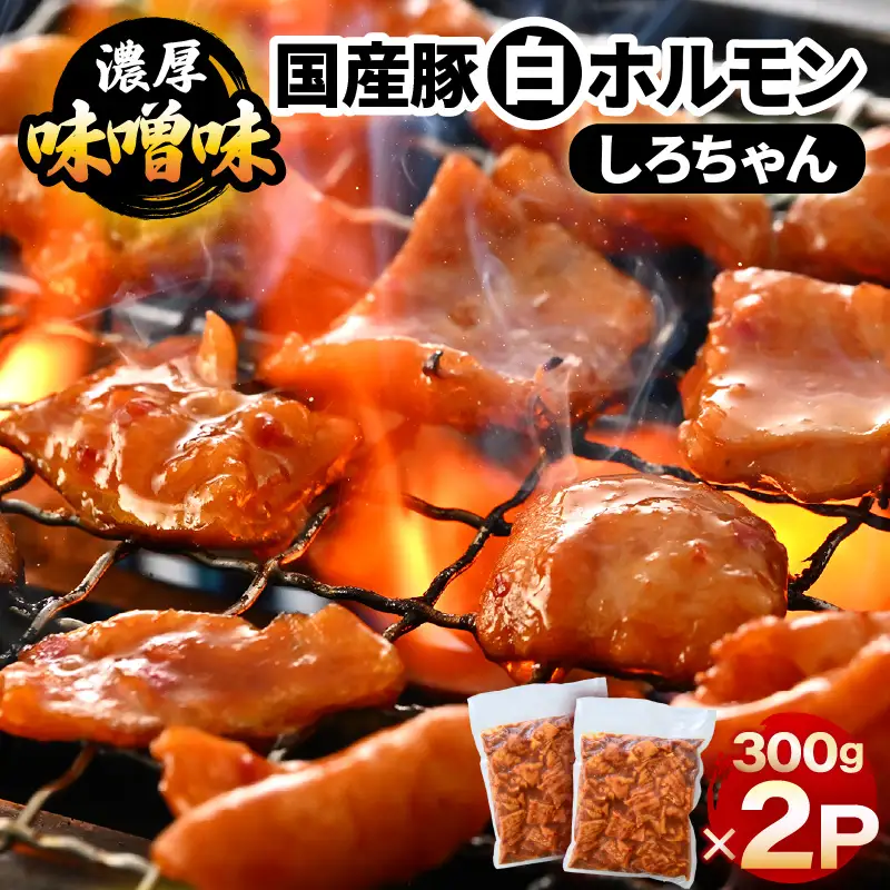 国産豚 白ホルモン しろちゃん 濃厚味噌味 300g × 2p (計600g) 【豚 豚肉 ぶた ホルモン ほるもん 豚腸 味噌 濃厚 おつまみ おかず 夜のおかず 夜ごはん 味付き 冷凍 国産】 [A-12433]