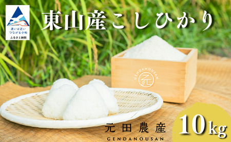 【スピード発送】 コシヒカリ 精米 10㎏ 令和7年産 コシヒカリ こしひかり 元田農産