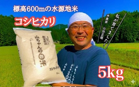 令和7年度産 農家直送「山ちゃんのお米」コシヒカリ5kg