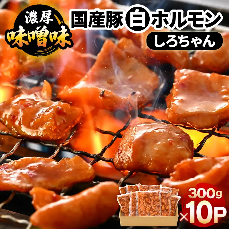 国産豚 白ホルモン しろちゃん 濃厚味噌味 300g × 10p (計3kg) 【豚 豚肉 ぶた ホルモン ほるもん 豚腸 味噌 濃厚 おつまみ おかず 夜のおかず 夜ごはん 味付き 冷凍 国産】 [A-12436]