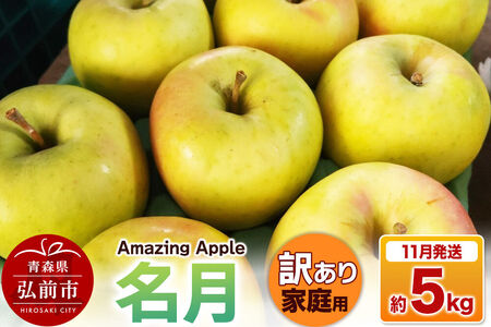 【26年11月下旬発送】りんご 名月【訳あり】家庭用 約5kg