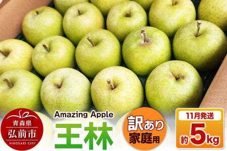 【26年11月下旬発送】りんご 王林【訳あり】家庭用 約5kg