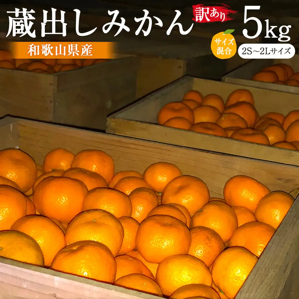 訳あり 蔵出しみかん 約5kg 2S～2Lサイズ混合