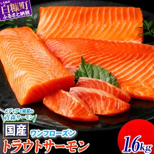 国産 プレミアム ワンフローズントラウトサーモン 1.6kg_T022-1479