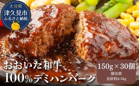 おおいた和牛100%　デミハンバーグ　約150g×30個　合計約4.5kg　|　津久見市