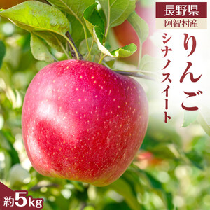 【先行予約】＜令和8年10月中旬～順次発送＞南信州阿智村　りんご（シナノスイート）約5kg｜  果物 フルーツ 林檎 リンゴ 信州 長野