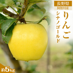 【先行予約】＜令和8年11月上旬～順次発送＞南信州阿智村　りんご（シナノゴールド）約5kg｜  果物 フルーツ 林檎 リンゴ 信州 長野