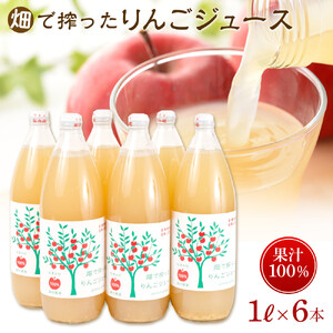 りんご ジュース 6本 × 各1000ml 大町産 箱入り りんごジュース 長野 信州