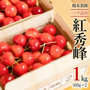 【令和8年産先行予約】　山形県 鶴岡市産 さくらんぼ 「紅秀峰」 (2Lサイズ以上) バラ詰め 1kg (500g×2)  榎本菜園　K-866