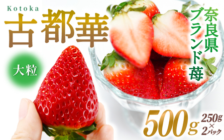 ブランド苺 新鮮 古都華 (大粒) 約500g [250g×2パック] 【2026年1月上旬～5月下旬に順次発送】／ スマイル葛城農業 ブランド いちご 苺 ことか イチゴ スイーツ フルーツ 甘い 果物 奈良県 葛城市【smlk001】