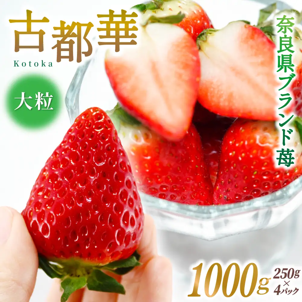 ブランド苺 新鮮 古都華 (大粒) 約1000g [250g×4パック] 【2027年1月上旬～5月下旬に順次発送】／ スマイル葛城農業 ブランド いちご 苺 ことか イチゴ スイーツ フルーツ 甘い 果物 奈良県 葛城市【smlk002】