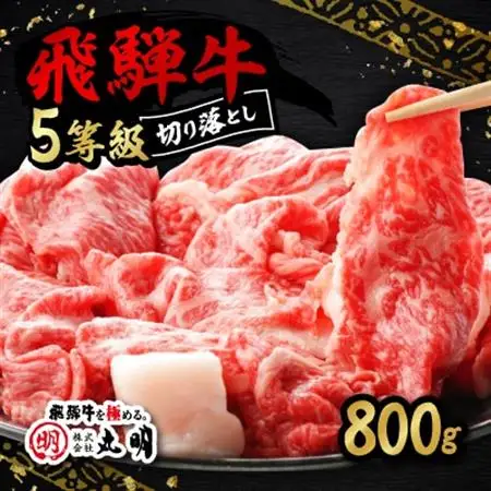 【訳あり】飛騨牛5等級　切り落とし用途いろいろ　800g【配送不可地域：離島】【1668211】