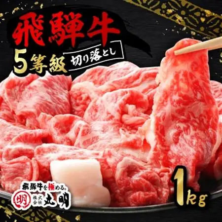 【訳あり】飛騨牛5等級　切り落とし用途いろいろ　1kg【配送不可地域：離島】【1668213】