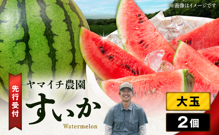 【  三浦 農家 直送 】大玉 スイカ（2個入り） M003-003 【 期間限定 】 果物 すいか