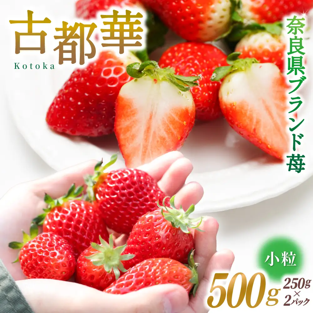 ブランド苺 新鮮 古都華 (小粒) 約500g [250g×2パック] 【2027年1月上旬～5月下旬に順次発送】／ スマイル葛城農業 ブランド いちご 苺 ことか イチゴ スイーツ フルーツ 甘い 果物 奈良県 葛城市【smlk006】