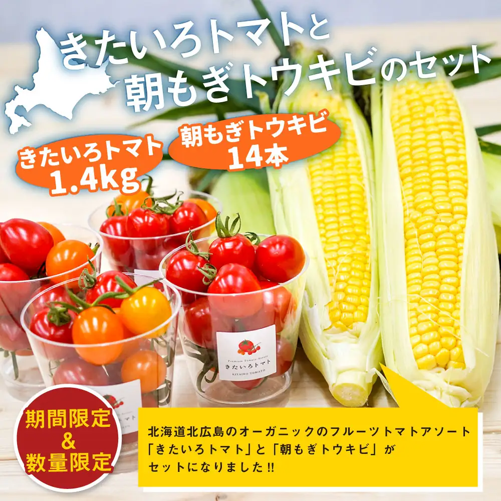 きたいろトマト （1.4kg）と 朝もぎトウキビ （14本）のセット 【2026年8月上旬～9月上旬発送迄予定】 トマト とうもろこし トウモロコシ 野菜 朝採れ オーガニック